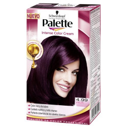 Palette Intense N. 4.99 Violin