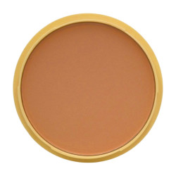 Polvo Crema N 02 Rachel 15 Gr