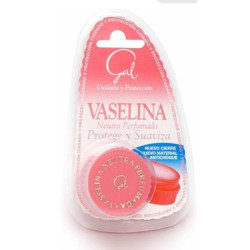 Gal Vaselina Neutra y Perfumada 12 Gr Blister