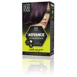 Color Advance 4.2 Borgoña