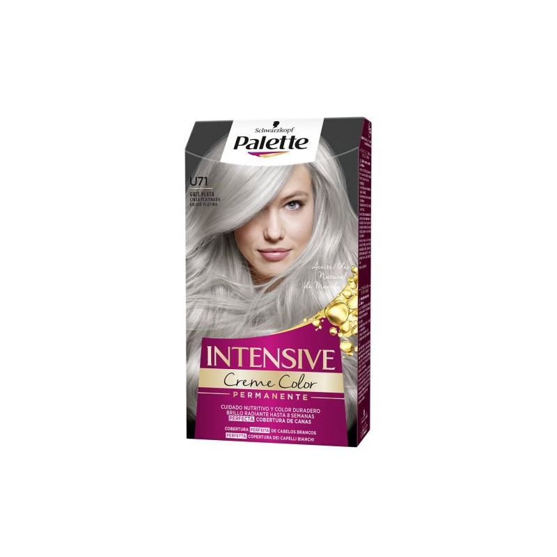 Palette Intense N. U71 Gris Plata