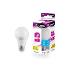 Led Std 11W E27 Fria (B1)