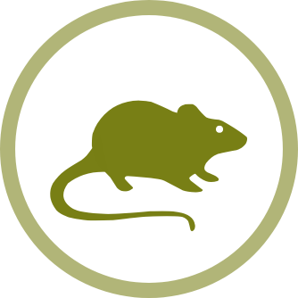 Raticidas, trampas para ratas, ratones y otros roedores