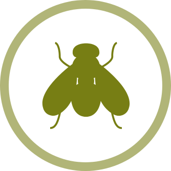 Insecticidas Voladores